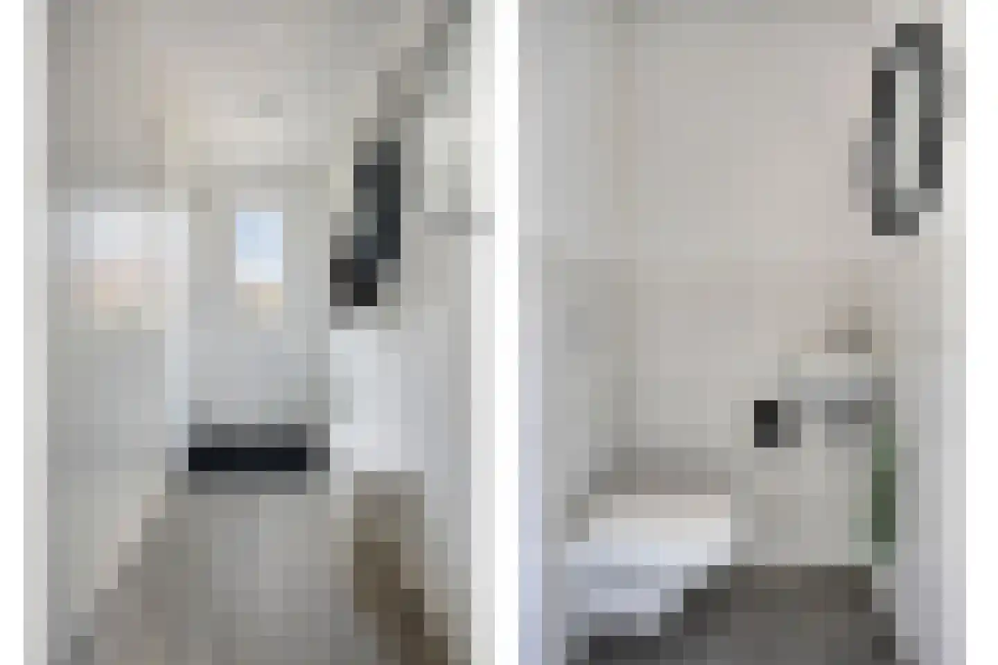 Koekoekstraat 6 Heerhugowaard thumbnail 7