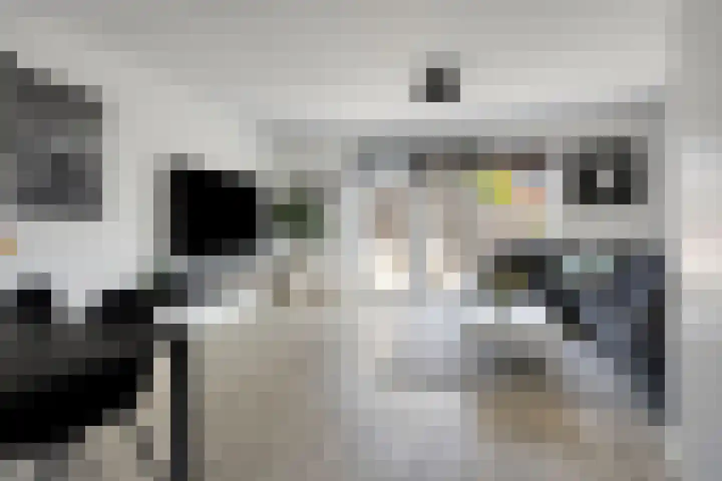 Koekoekstraat 6 Heerhugowaard thumbnail 8