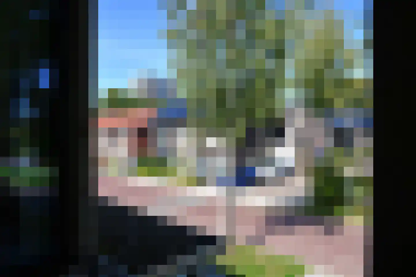 Koekoekstraat 68 Assen thumbnail 13