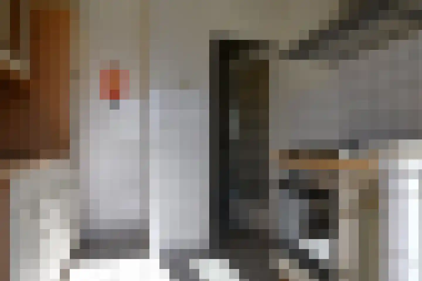 Koekoekstraat 68 Assen thumbnail 16