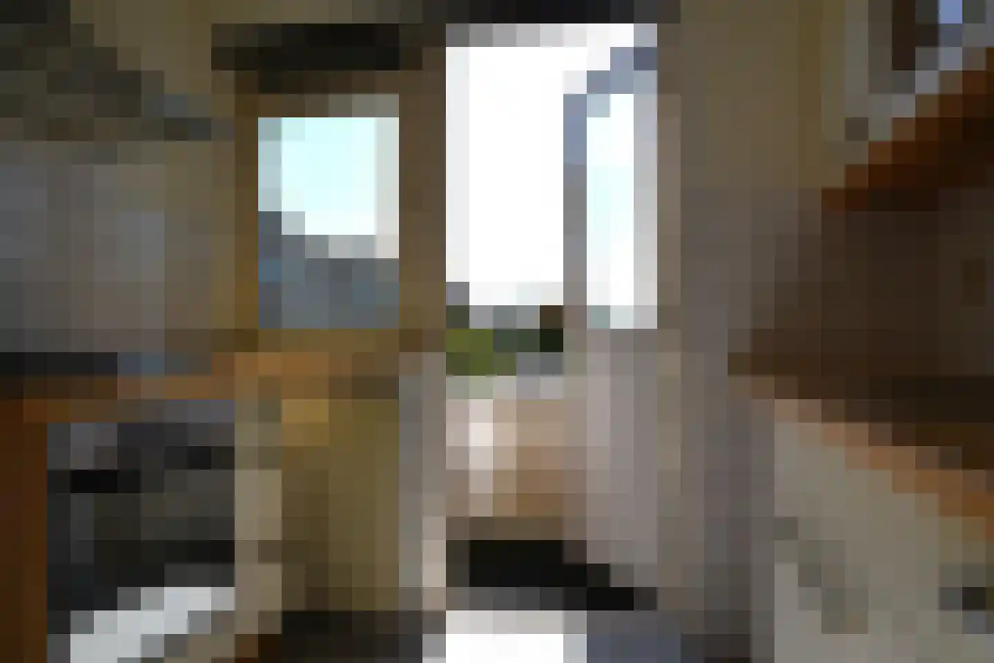Koekoekstraat 68 Assen thumbnail 17