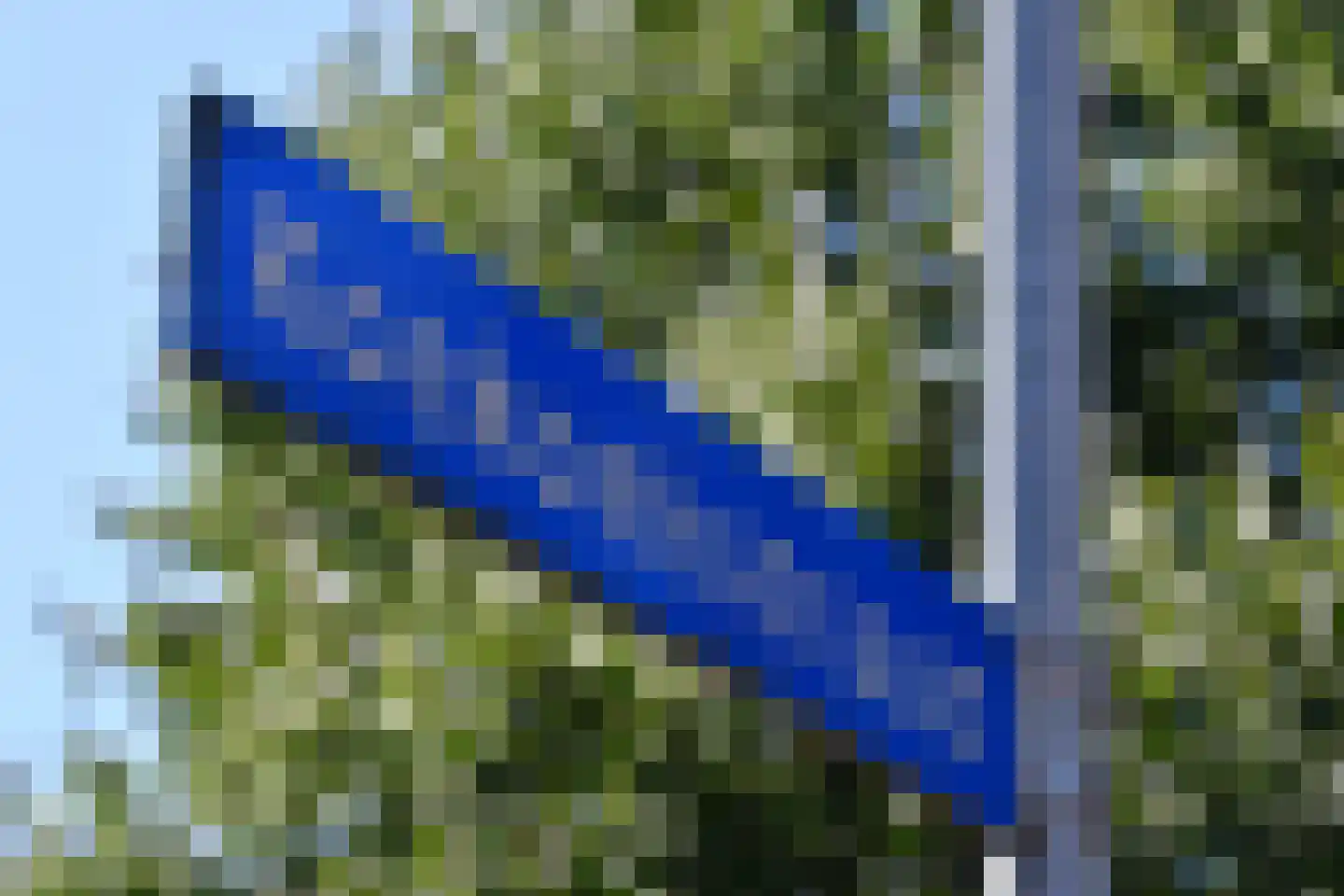Koekoekstraat 68 Assen thumbnail 27