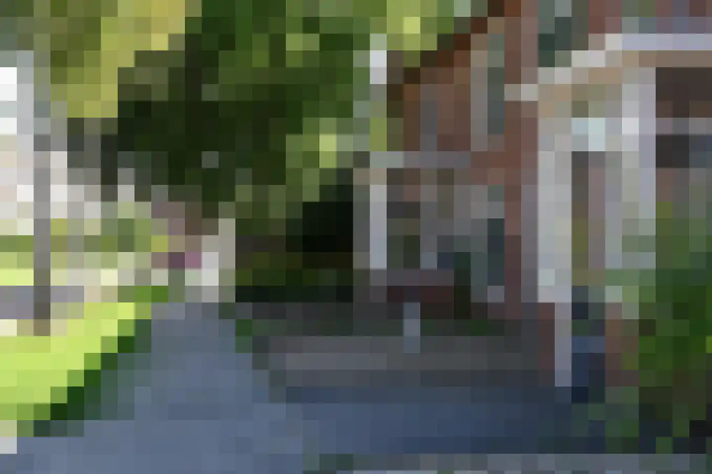 Koekoekstraat 68 Assen thumbnail 5