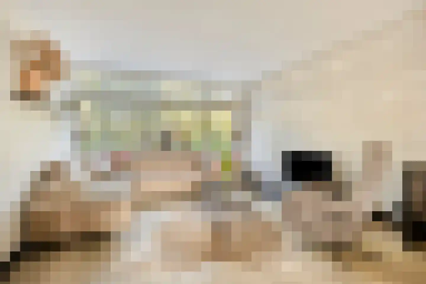 Koekoekstraat 7 Krimpen aan den IJssel thumbnail 13