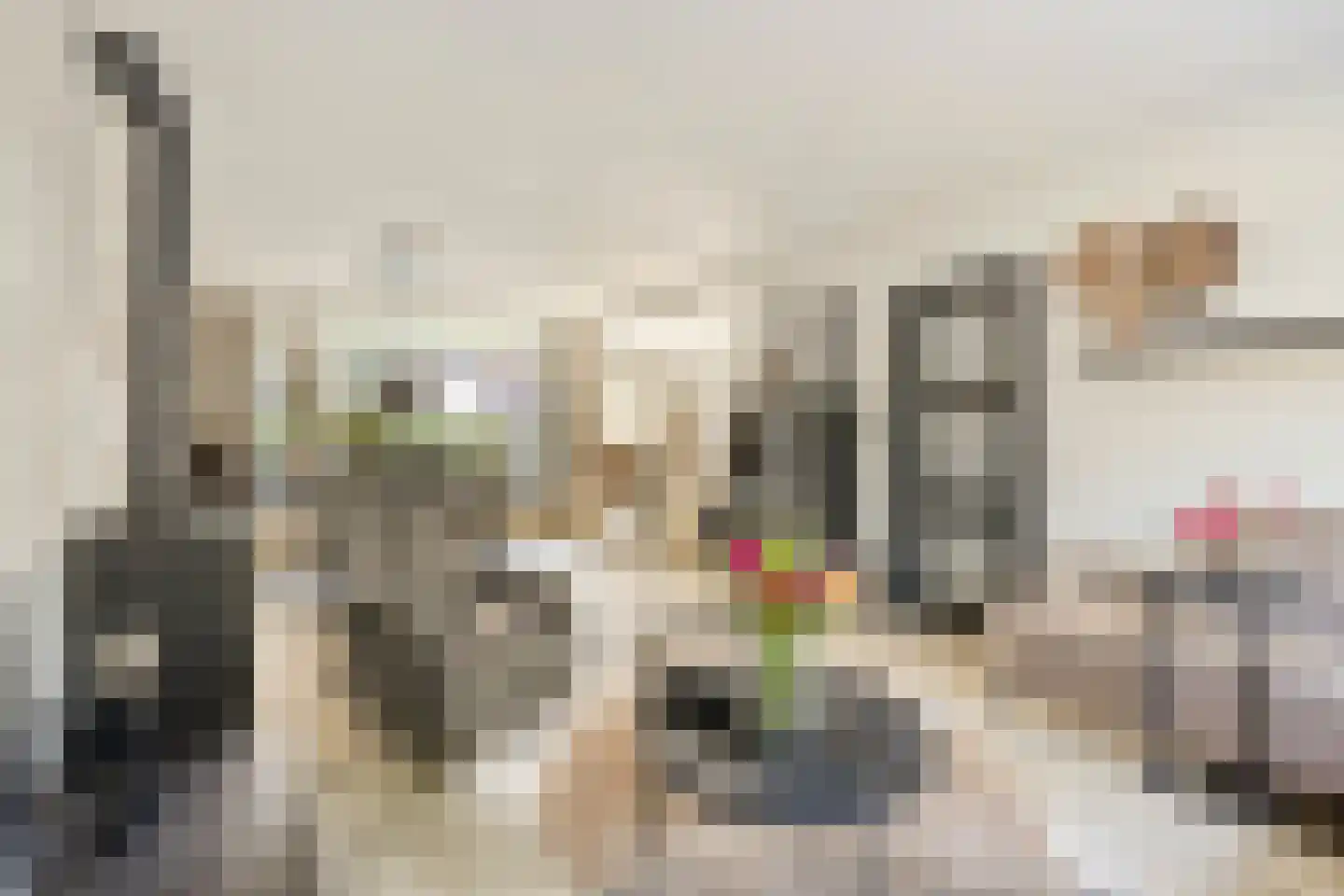Koekoekstraat 7 Krimpen aan den IJssel thumbnail 14