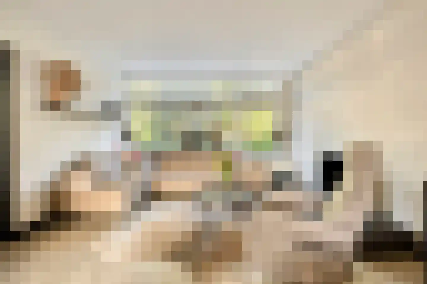 Koekoekstraat 7 Krimpen aan den IJssel thumbnail 15