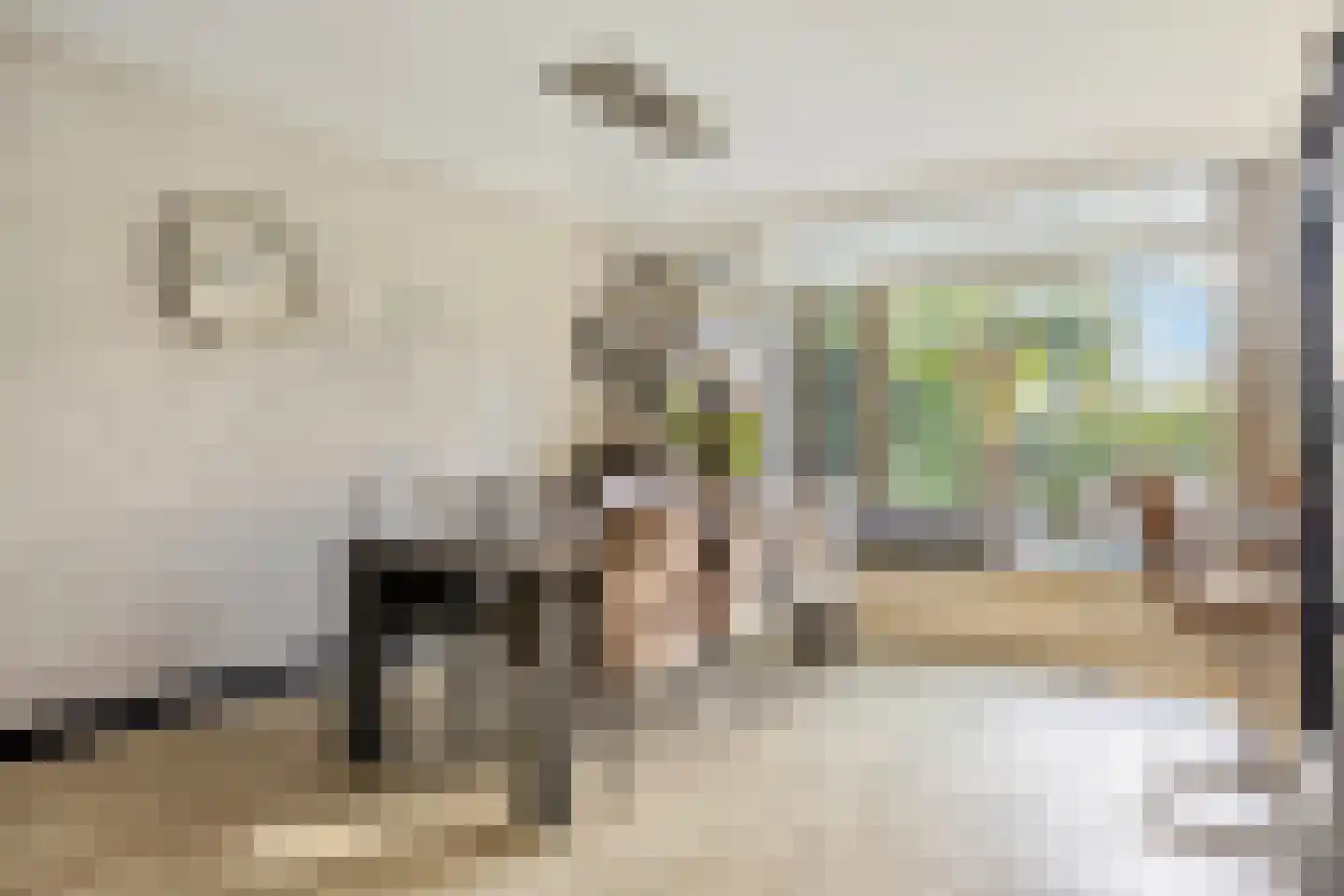 Koekoekstraat 7 Krimpen aan den IJssel thumbnail 16