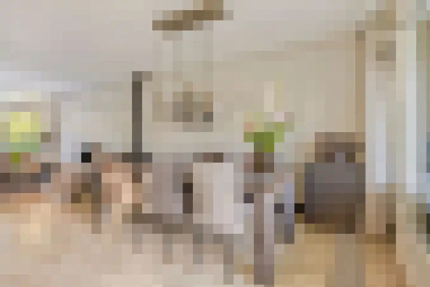 Koekoekstraat 7 Krimpen aan den IJssel thumbnail 17