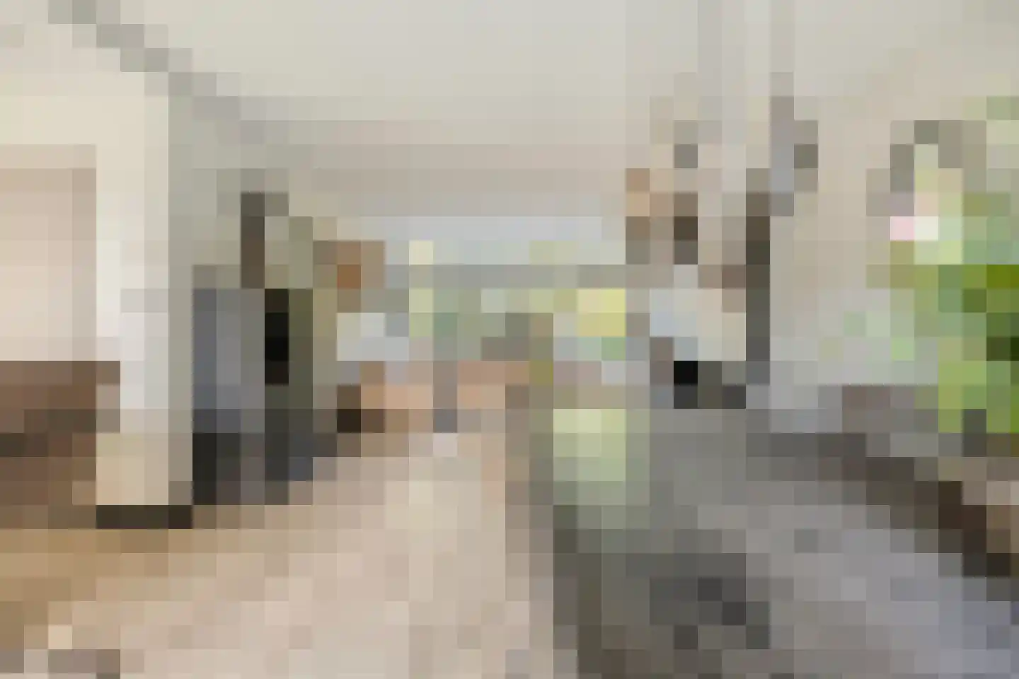 Koekoekstraat 7 Krimpen aan den IJssel thumbnail 18