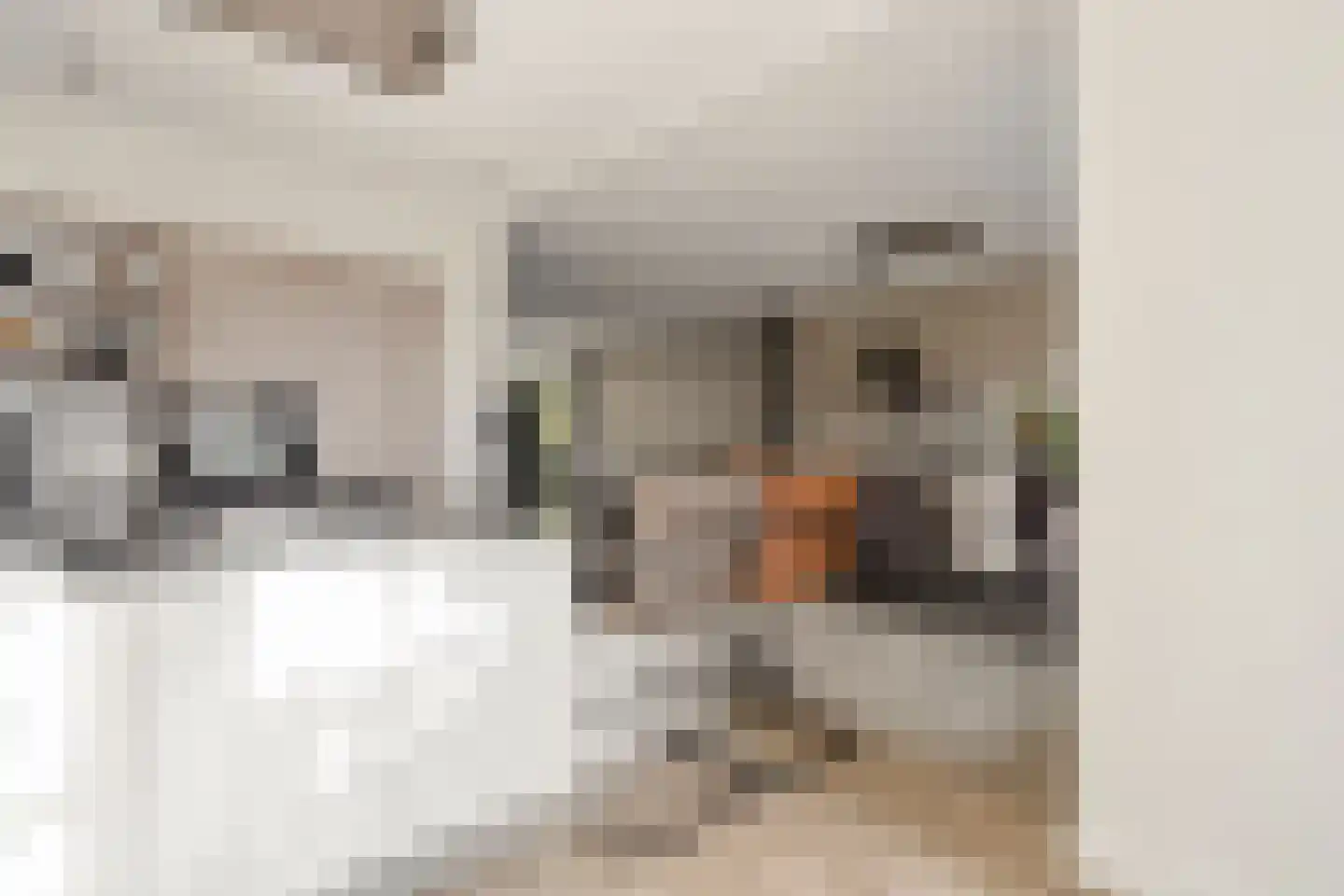Koekoekstraat 7 Krimpen aan den IJssel thumbnail 21