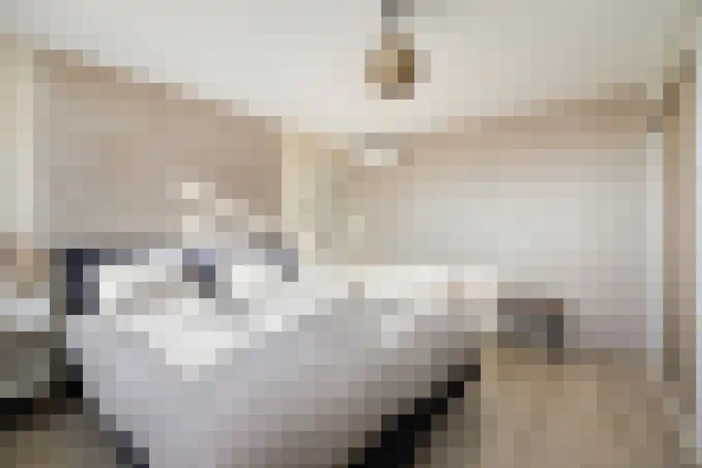 Koekoekstraat 7 Krimpen aan den IJssel thumbnail 27