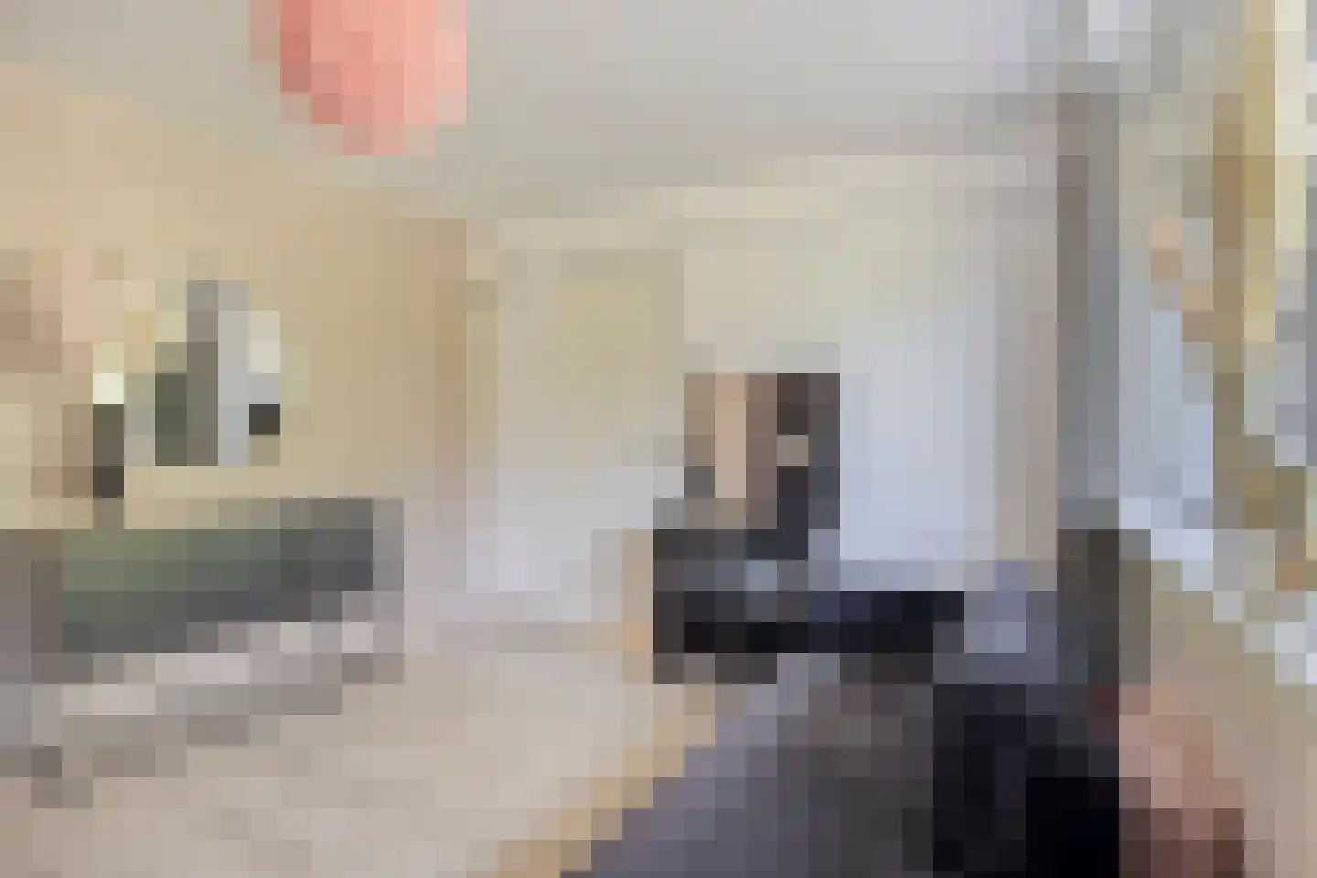Koekoekstraat 7 Krimpen aan den IJssel thumbnail 32