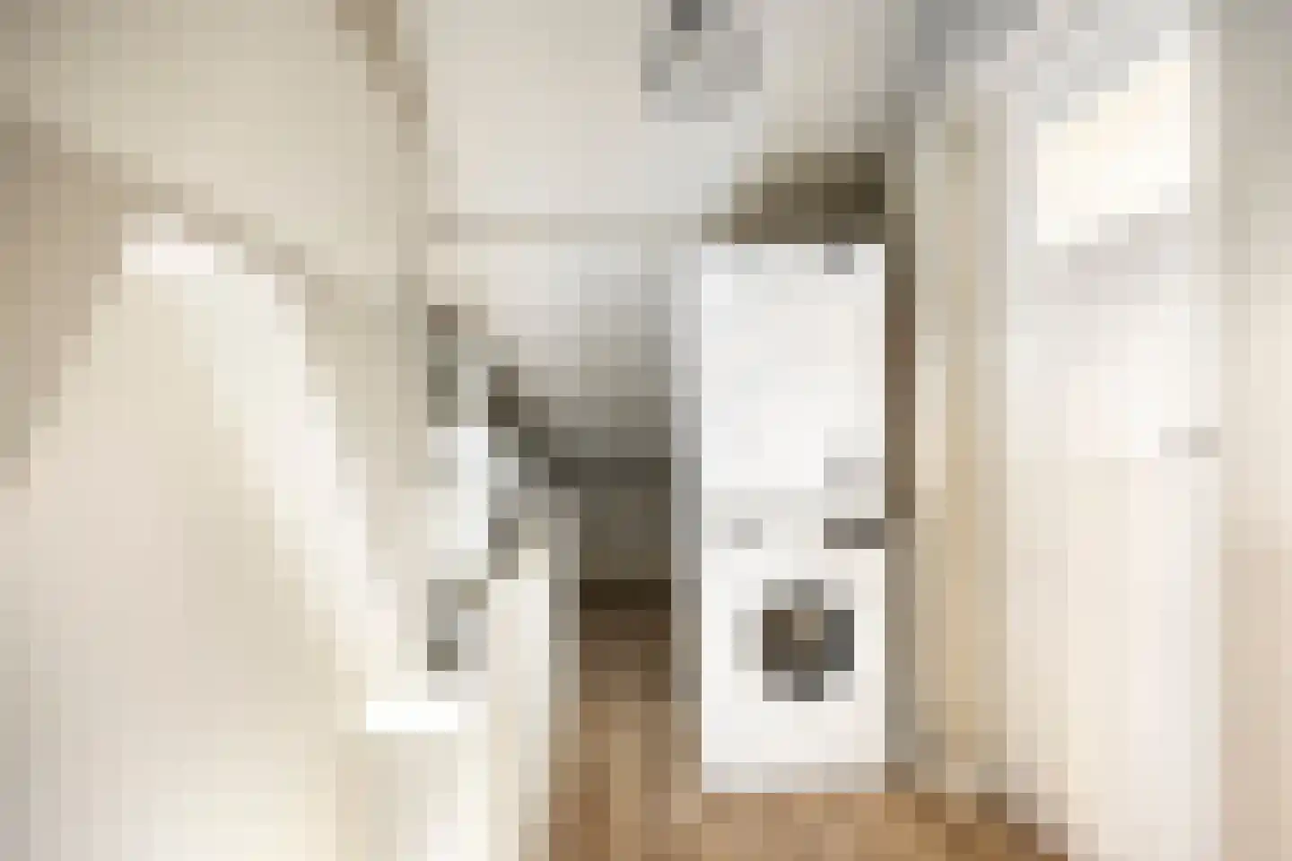 Koekoekstraat 7 Krimpen aan den IJssel thumbnail 35