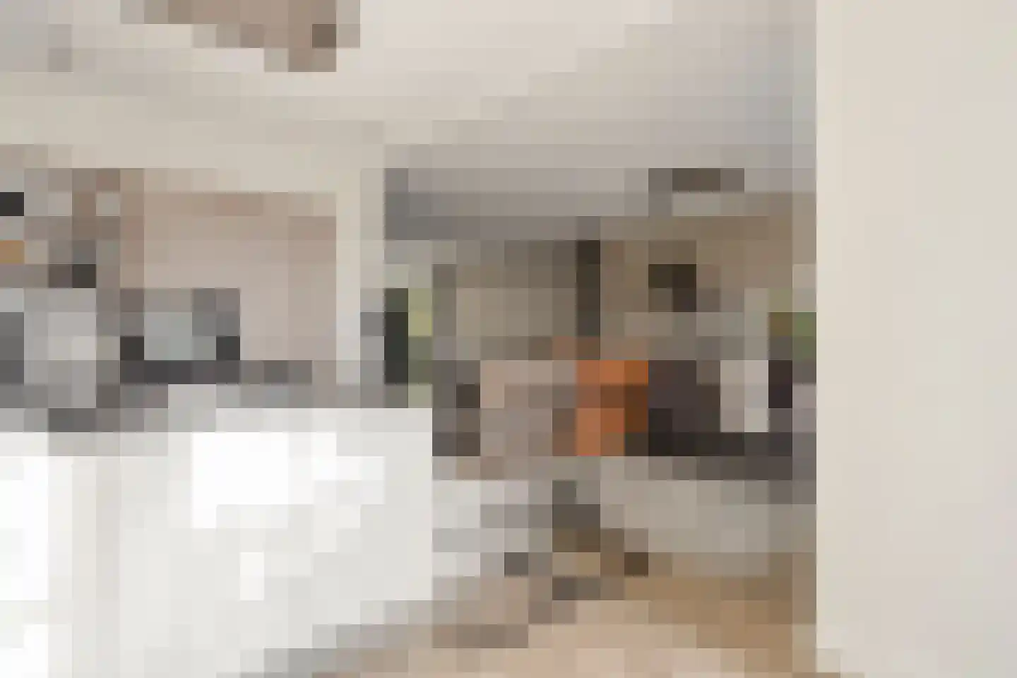 Koekoekstraat 7 Krimpen aan den IJssel thumbnail 4