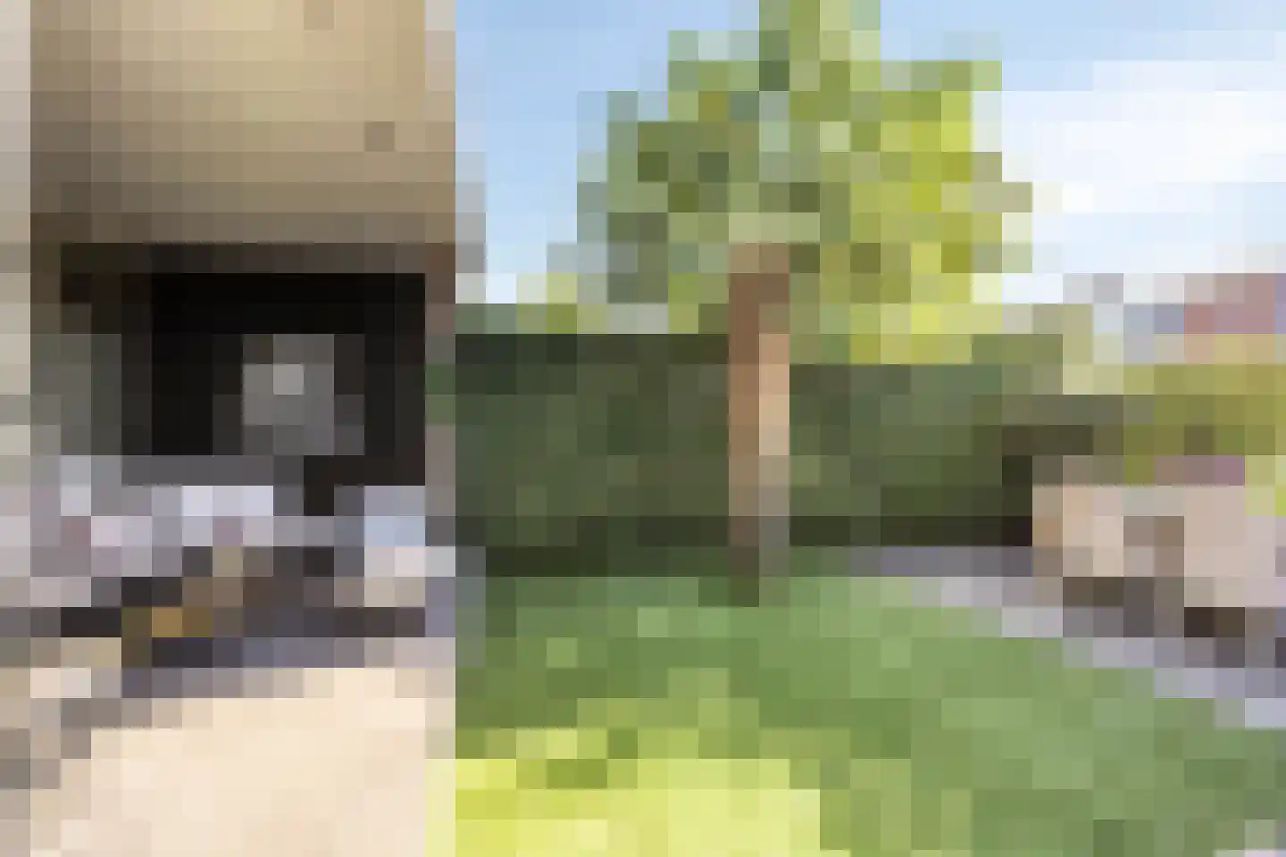 Koekoekstraat 7 Krimpen aan den IJssel thumbnail 42
