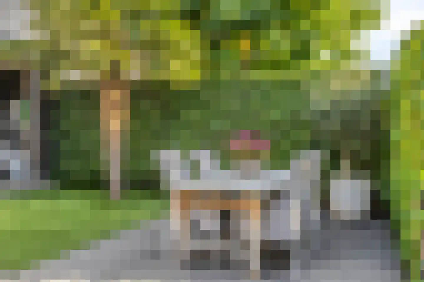 Koekoekstraat 7 Krimpen aan den IJssel thumbnail 44