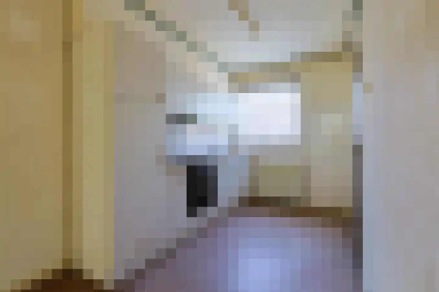 Koekoekstraat 7 Nieuwkoop thumbnail 10