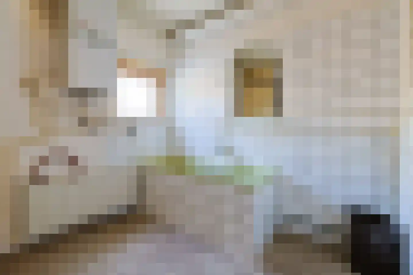 Koekoekstraat 7 Nieuwkoop thumbnail 15