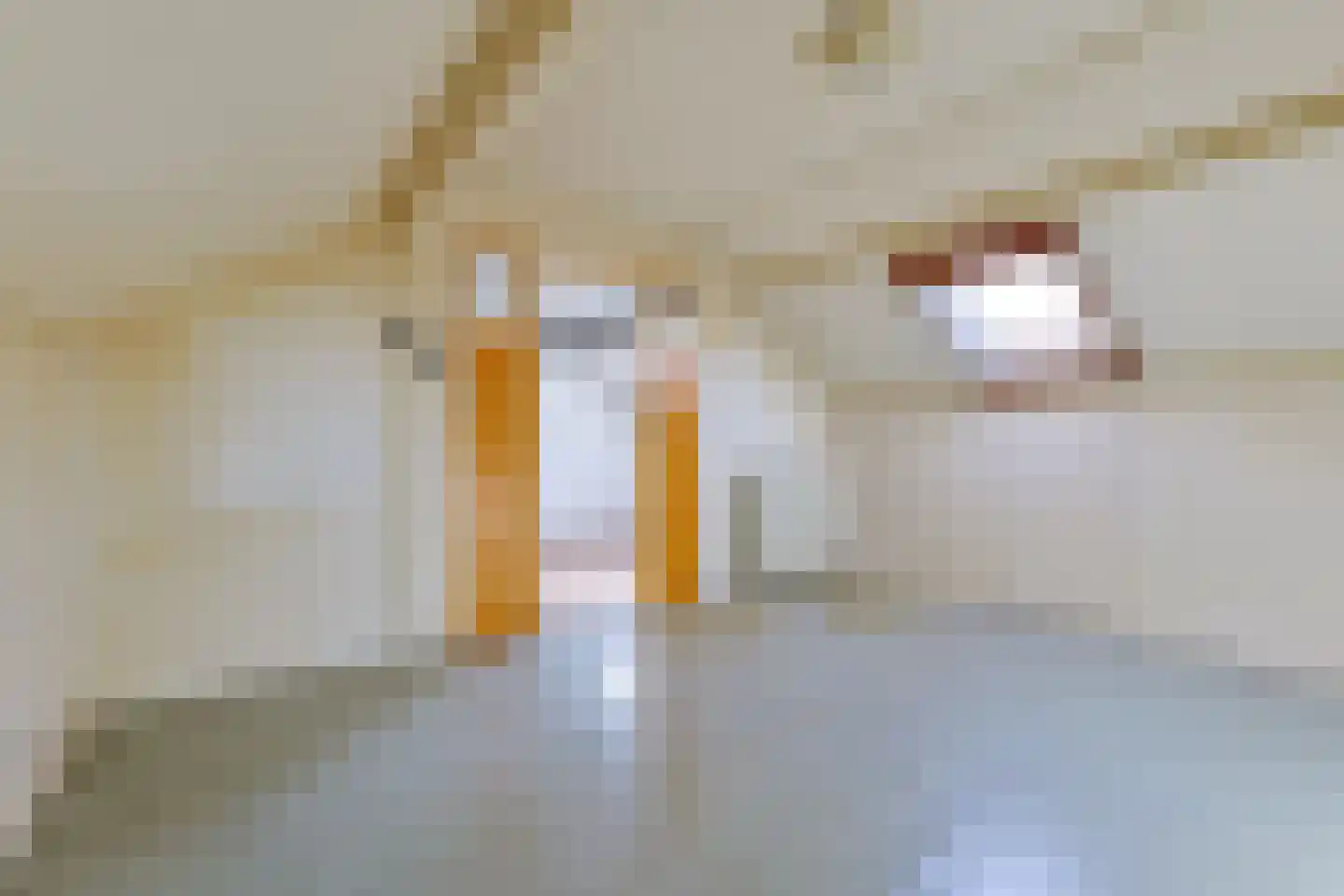 Koekoekstraat 7 Nieuwkoop thumbnail 18