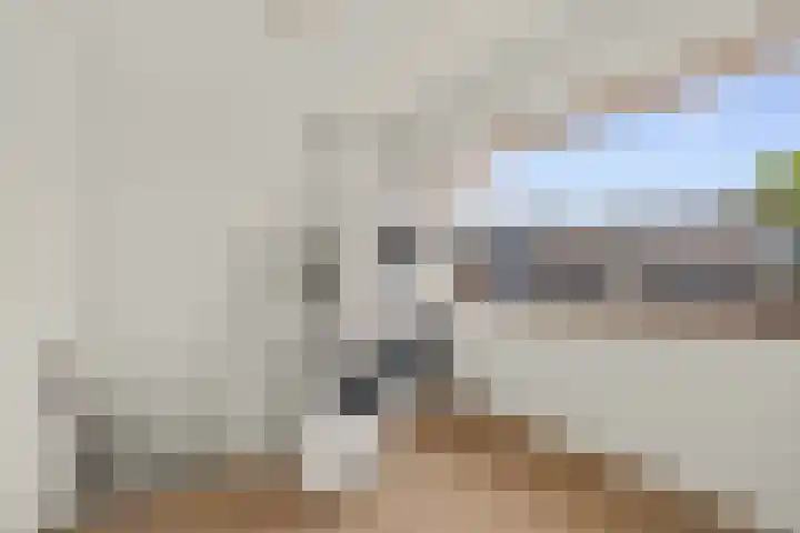 Koekoekstraat 7 Utrecht thumbnail 32