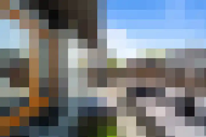 Koekoekstraat 7 Utrecht thumbnail 39