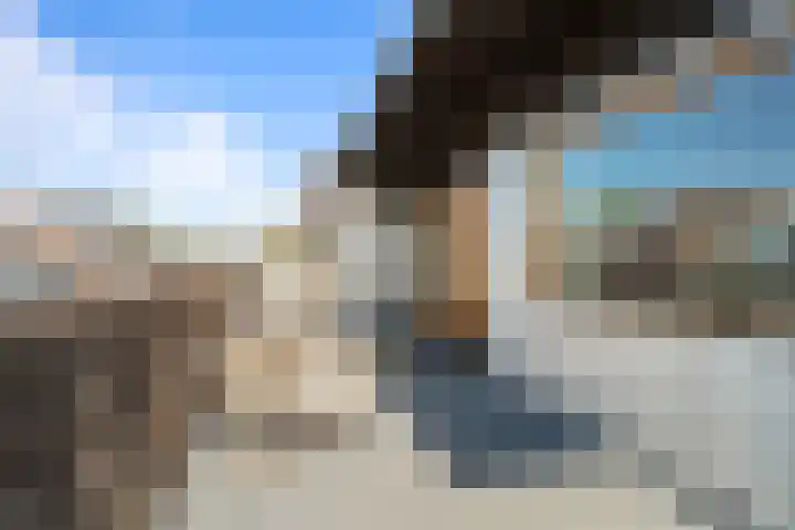 Koekoekstraat 7 Utrecht thumbnail 41