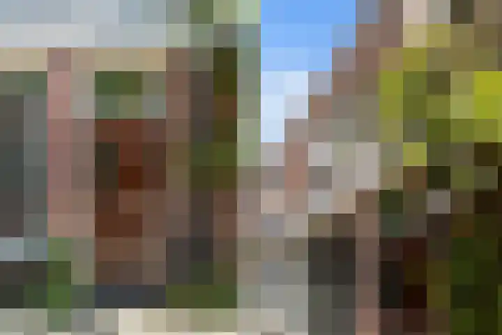 Koekoekstraat 7 Utrecht thumbnail 7