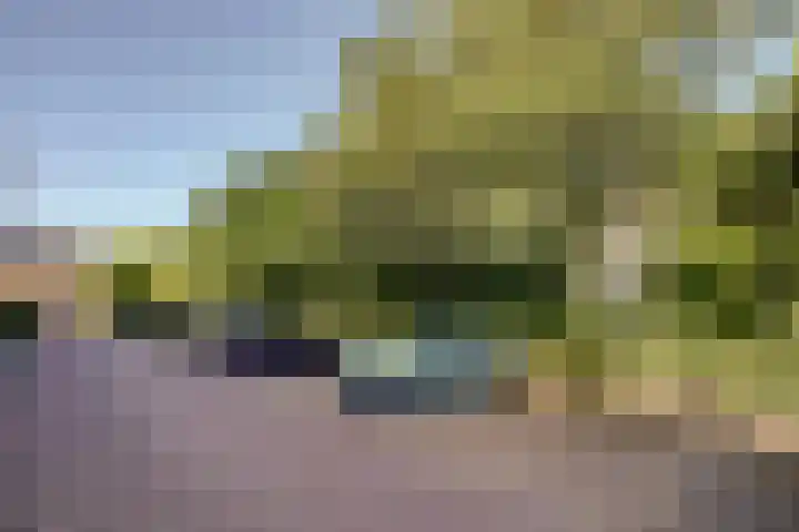 Koekoekstraat 70 Maassluis thumbnail 26