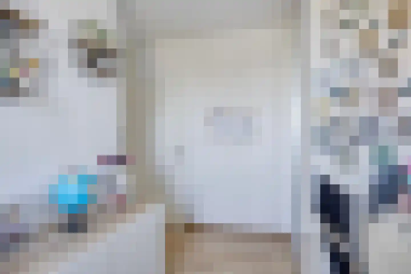 Koekoekstraat 74 Leiderdorp thumbnail 32