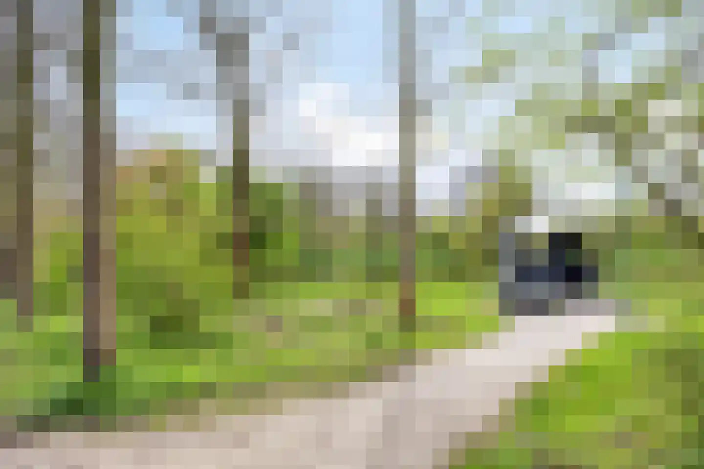 Koekoekstraat 75 Leiderdorp thumbnail 31