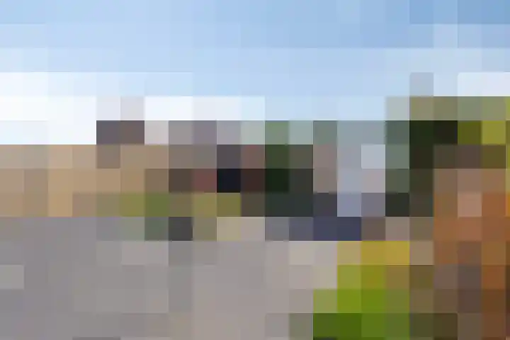 Koekoekstraat 8 Helmond thumbnail 22