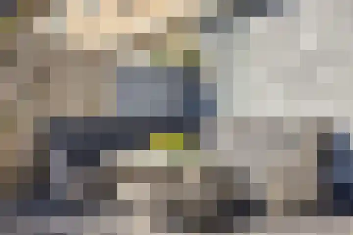 Koekoekstraat 8 Helmond thumbnail 23
