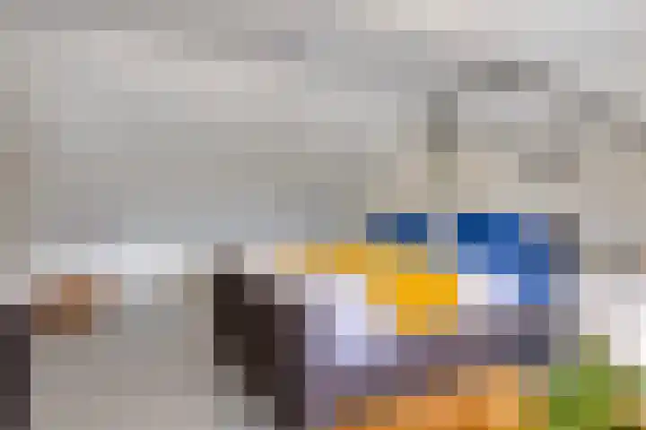 Koekoekstraat 8 Helmond thumbnail 37