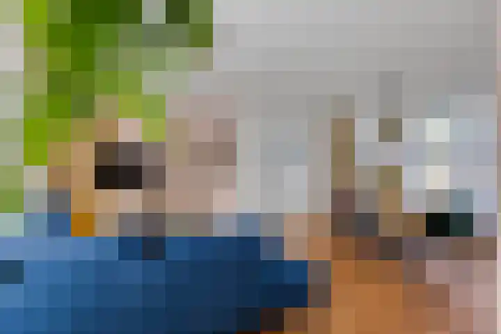 Koekoekstraat 8 Helmond thumbnail 6