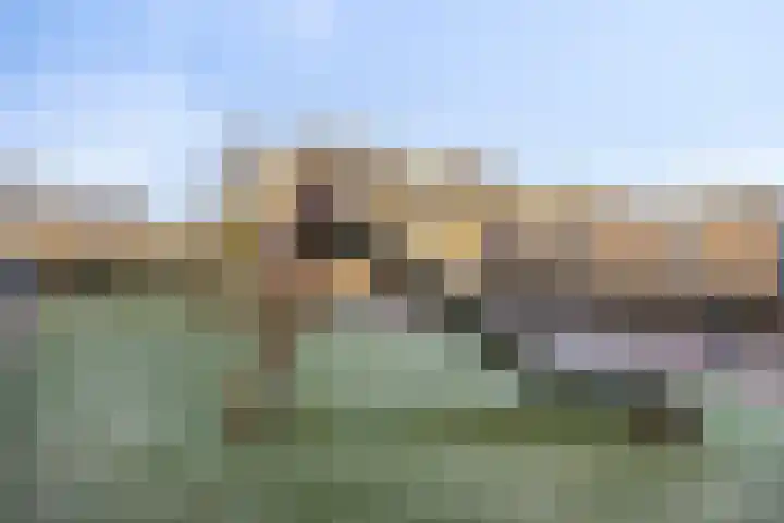 Koekoekstraat 9 Zwijndrecht thumbnail 30