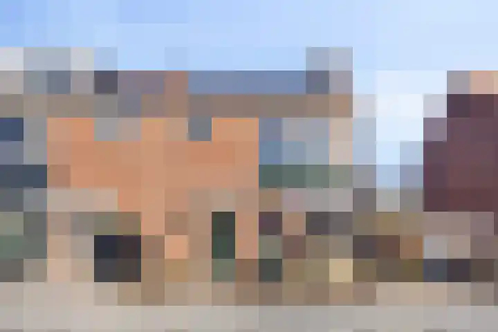 Koekoekstraat 9 Zwijndrecht thumbnail 33