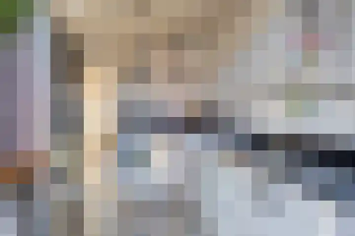 Koekoekstraat 9 Zwijndrecht thumbnail 8