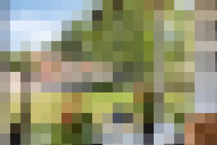 Koekoeksweg 10 Vaassen thumbnail 11