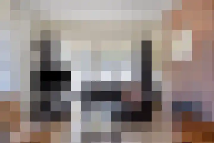 Koekoeksweg 10 Vaassen thumbnail 12
