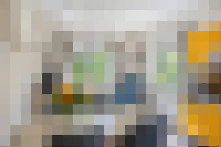 Koekoeksweg 10 Vaassen thumbnail 16