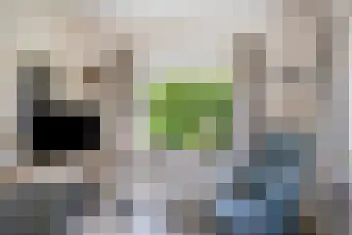 Koekoeksweg 10 Vaassen thumbnail 17