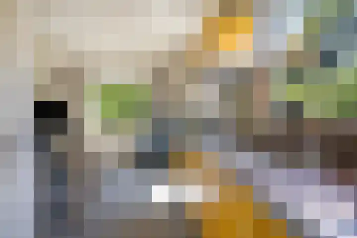 Koekoeksweg 10 Vaassen thumbnail 20