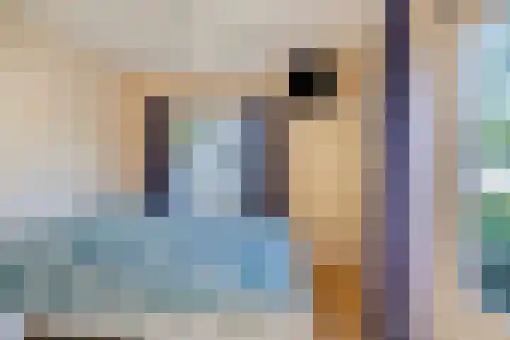 Koekoeksweg 10 Vaassen thumbnail 26