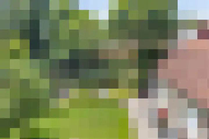Koekoeksweg 10 Vaassen thumbnail 29