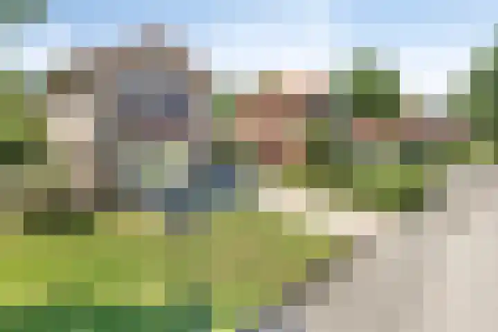 Koekoeksweg 10 Vaassen foto 3