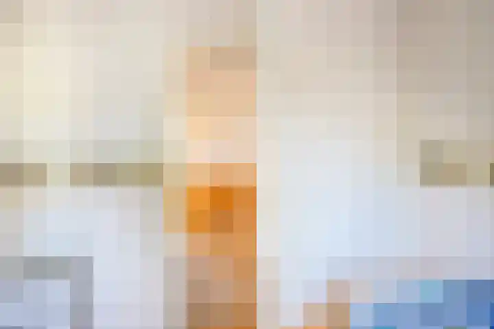 Koekoeksweg 10 Vaassen thumbnail 34
