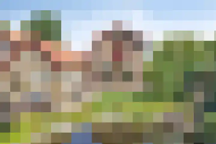 Koekoeksweg 10 Vaassen thumbnail 35