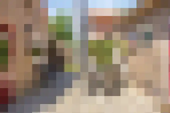 Koekoeksweg 10 Vaassen thumbnail 36