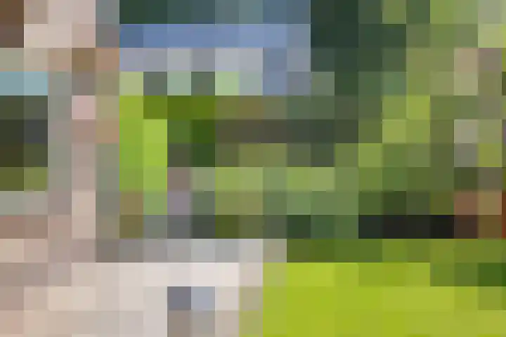 Koekoeksweg 10 Vaassen thumbnail 38