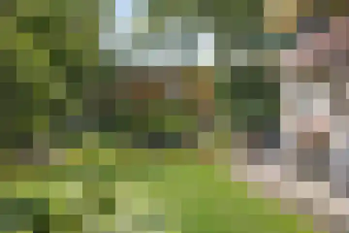 Koekoeksweg 10 Vaassen thumbnail 39